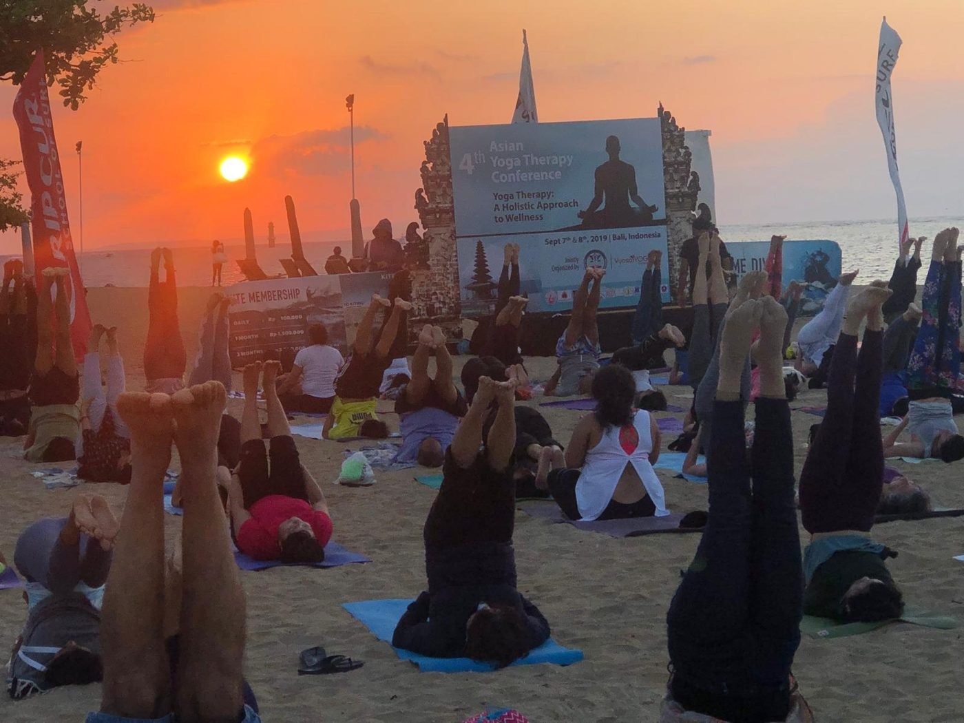 4th APYTA Conference, Bali 2019 — photograph 7